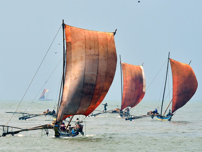 Sailing-boat-negombo.jpg