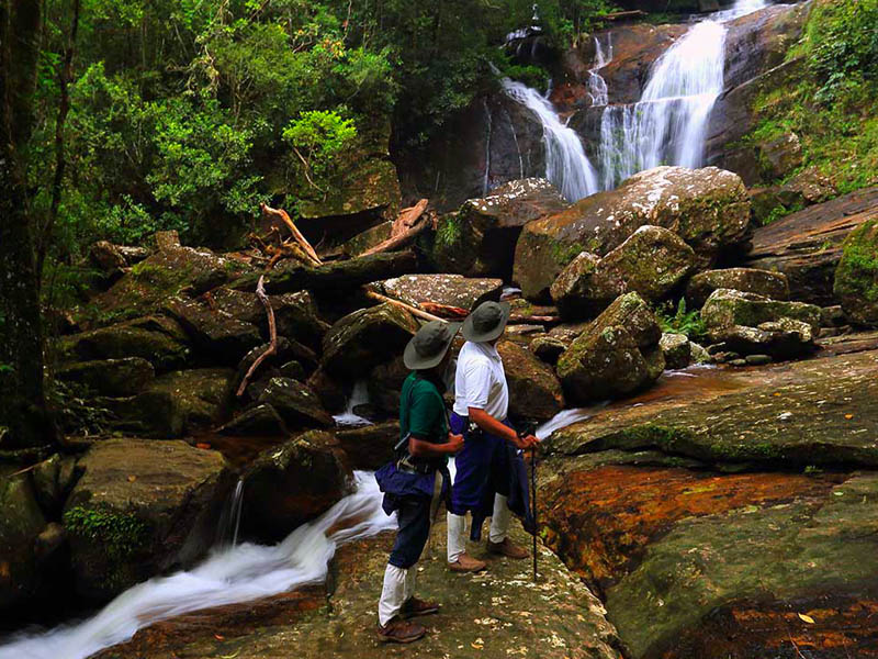 Singharaja-rain-forest.jpg